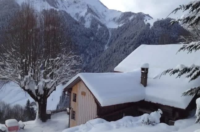Alps Chalet for Big Group with Sauna & Yoga Terrace